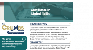Digital Skills Programme Overview